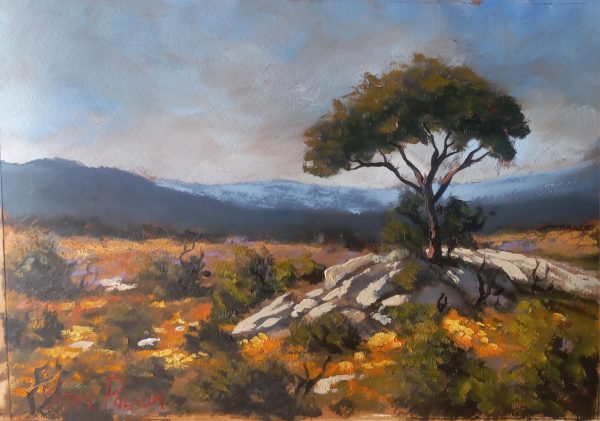 Stan Polson – On Auction